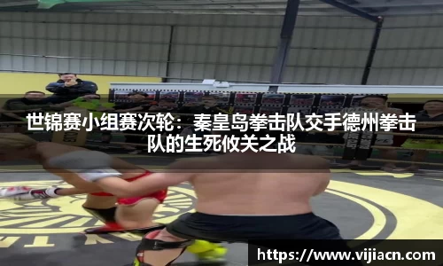 快盈V