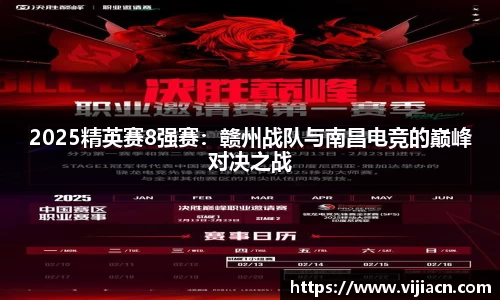 快盈VIII