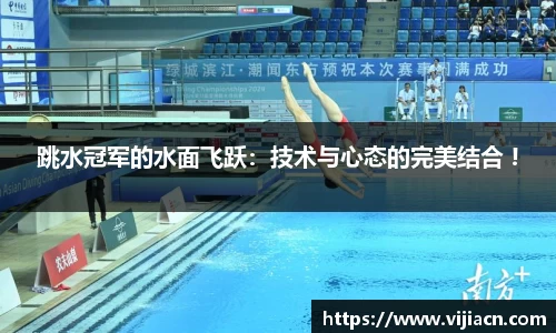 快盈VIII