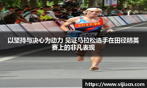 快盈VIII