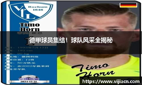 快盈V
